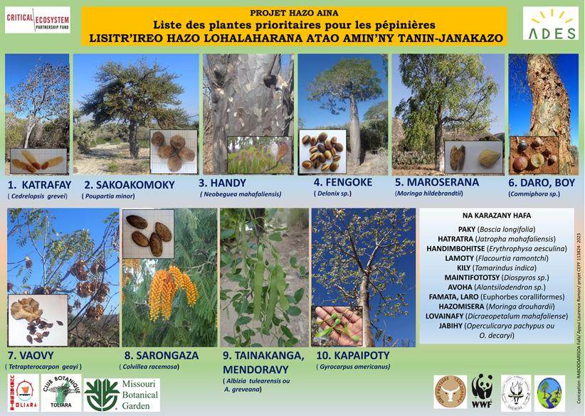 Affiche plante prioritaire v5 small 2