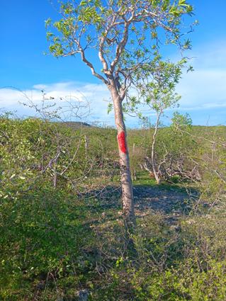 AMbohimahavelona