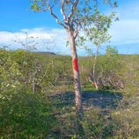 AMbohimahavelona