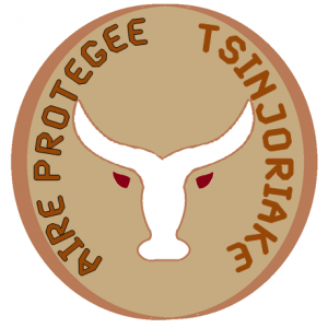 Logo tsinjoriake