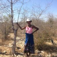 Ramassage de graines avec les femmes pépiniéristes