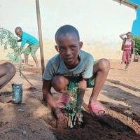 Plantation à Ambohimahavelona