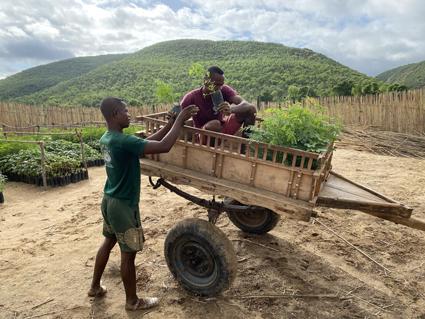 Plantations2025 2