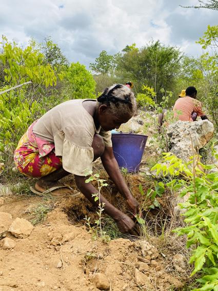 Plantations2025 5