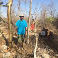 Ramassage de graines avec les gardes-forestiers