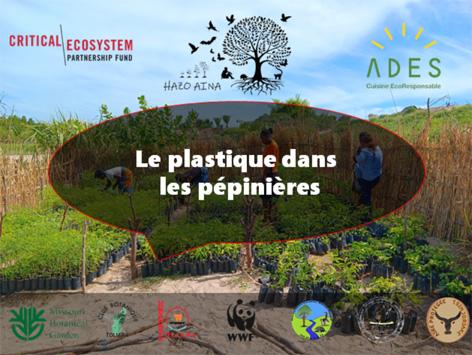 Powerpoint plastique