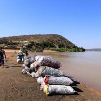 Sacs de charbon prêts pour le tranport