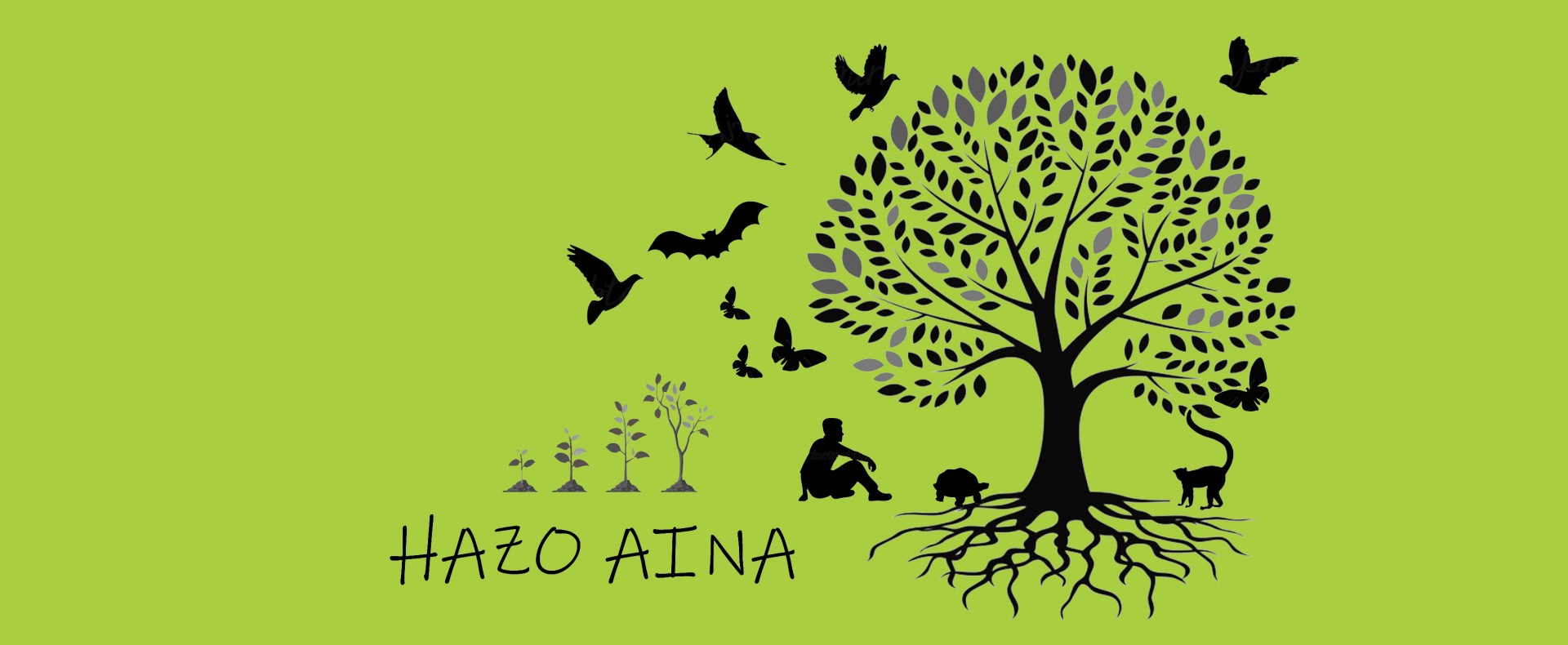 hazoaina